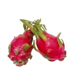 Dragon Fruit Local 1 pcs